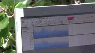 Convert Analog Audio To MP3 | Turntable, Cassette, Reel Tapes To MP3