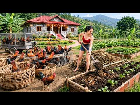 TIMELAPSE -- Harvesting Many Roosters, Selling Them to Ly Tieu Toan & Growing a New Vegetable Bed