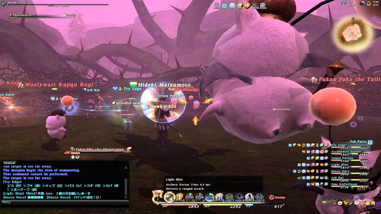 Final Fantasy XIV - Mogurito fight