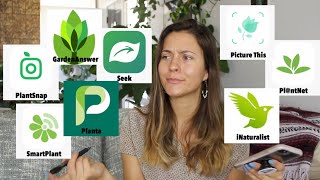 Testing Houseplant ID App Is The Best! | The Best App For Identifying Plants!