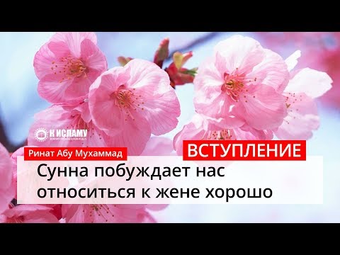 Сунна побуждает нас относиться к жене хорошо: Вступление — Ринат Абу Мухаммад