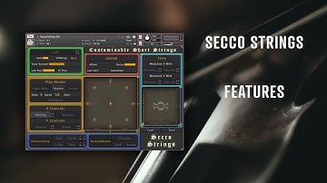 Secco Strings // Customisable Short Strings // Features