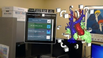 Augmented Reality Cardiac Anomaly Repair