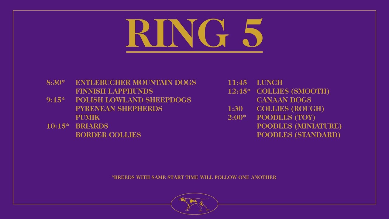 Canaan Dogs | Breed Judging 2026