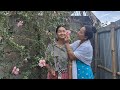 Dinwi Ase Kuchi Tarhai Ang Berainw Mwnla Mithi Narz S