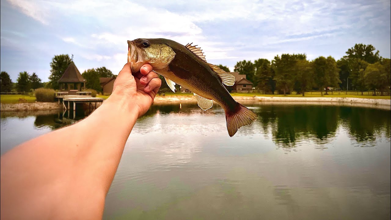 Bass Fishing Private Pond For Some Monster Bass