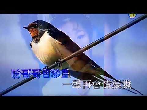 痴情燕子 | cover by Cathy ❤️❤️ Thanks to Tiger Keung