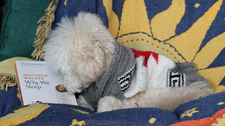 Why We Sleep While Reading: How To Stop Falling Asleep While Reading