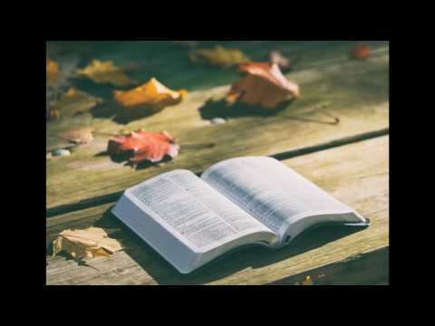 Video: „Mažosios Knygos“4 Skyrius Yra Konceptualus Viskis