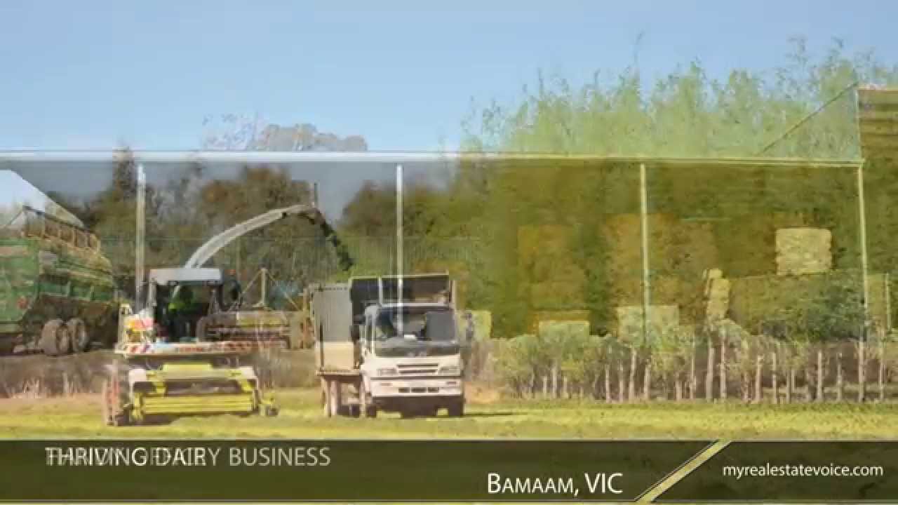 440 Acre Highly Productive Dairy Property for Sale Bamawm, VIC YouTube