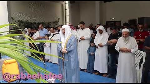 تلاوة مميزة للشيخ: محمد ربيع الحافي