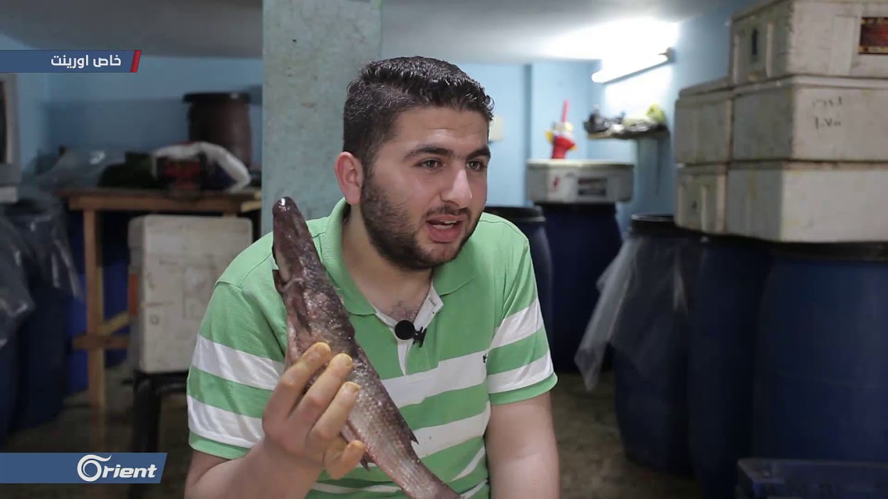 إقبال كبير على الفسيخ في غزة قبيل حلول العيد