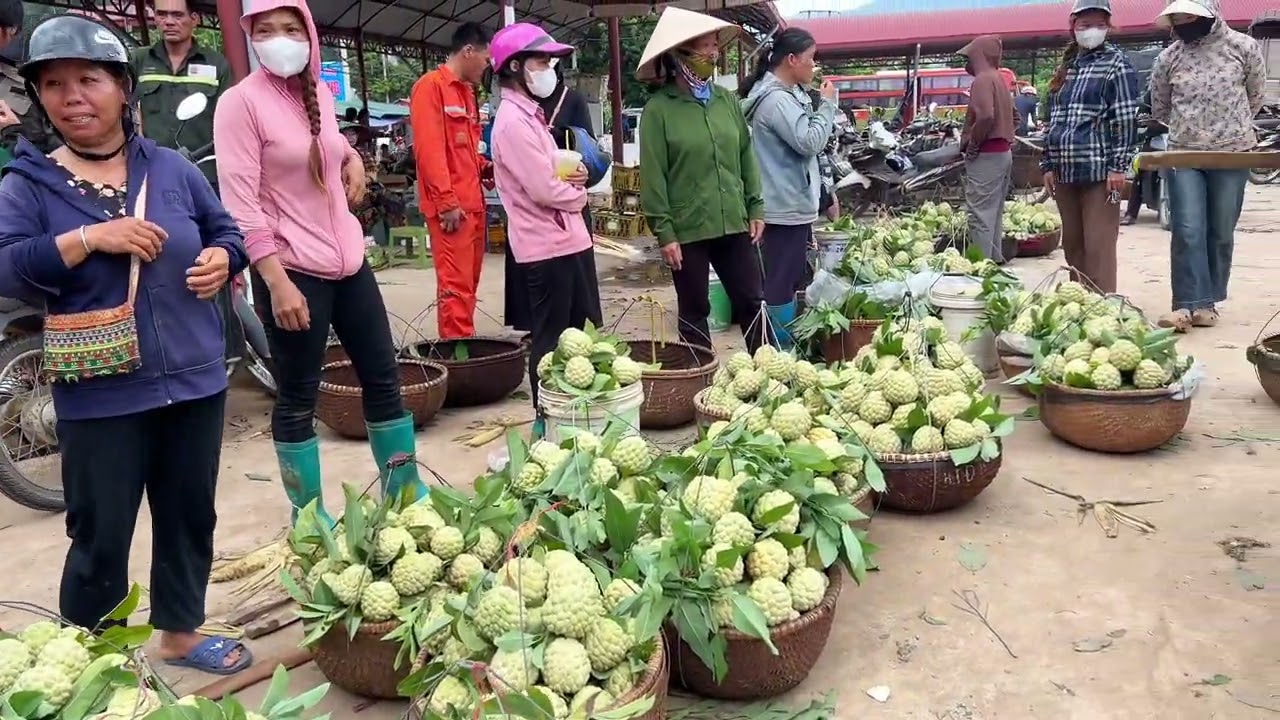 Phiên chợ Na Chi Lăng Lạng Sơn Được Mùa Mất Giá