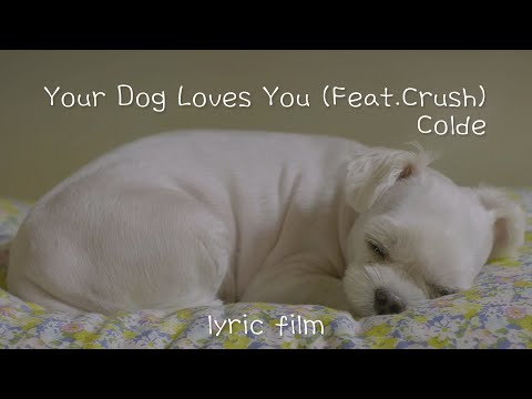 [lyric film] Colde - Your Dog Loves You (Feat.Crush) [Eng Sub]