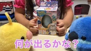 水でふくらむ ことり隊のタマゴ２ カラをやぶって ことり隊誕生❤️What's inside this Mystery Egg Toy?