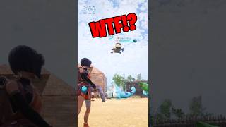 What is my pal doing!?