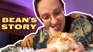 Adopting Our First Stray Cat by Beauty and the Bean 3,283 views 1 month ago 6 minutes, 58 seconds