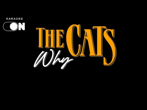 The Cats - Why (Karaoke)
