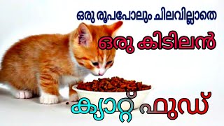 How to make Home made cat food zero expence @catsworld1469 #cats #viral #catslover #pets by cats world 3,882 views 2 years ago 10 minutes, 14 seconds