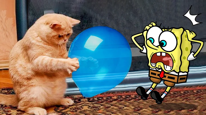 Watch the video about Funny Dogs And Cats Videos 2024 😅 - Best Funniest Animal Videos Of The week | Woa Doodland