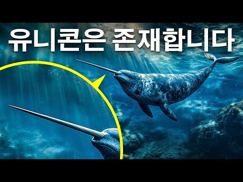심해의 가장 어두운 곳에 숨겨진 심해의 미스터리