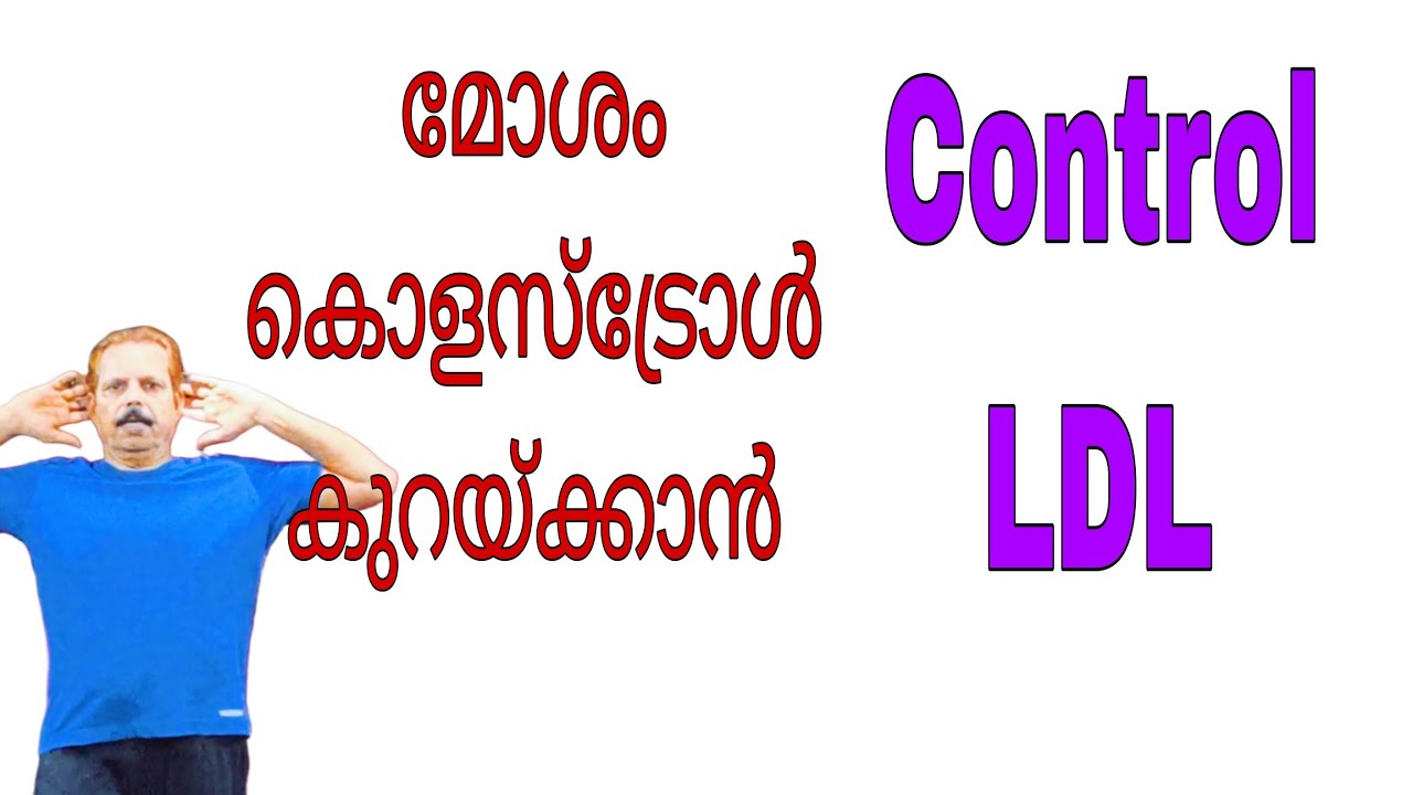 Ежедневные 30 минут для контроля уровня «плохого» холестерина