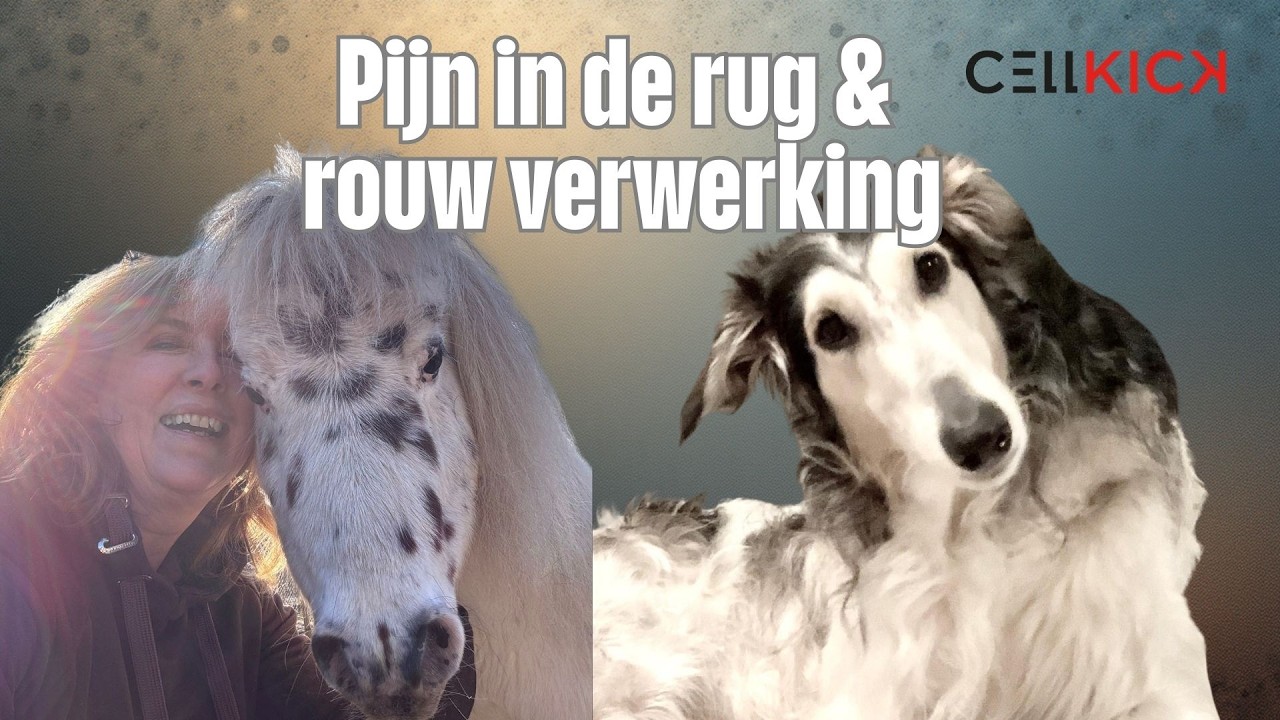 Een pony in rouw en een hond met pijn in de rug.