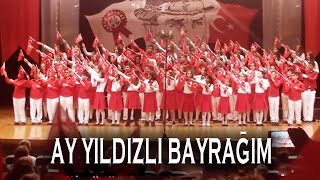 AY YILDIZLI BAYRAĞIM Resimi