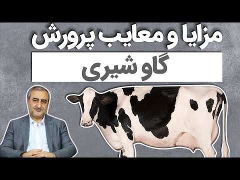 تصویری: مزایا و معایب خز مصنوعی