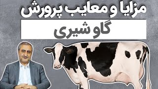 مزایا و معایب پرورش گاو شیری (Advantages & disadvantages of dairy farming)