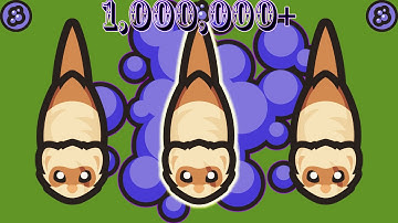 Taming.io Chapter III: Polecat