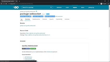 Golang chat application 3 - websocket package