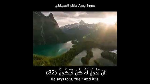 سوره يس ماهر المعقلي ❤ حالات واتس اب دينيه ايات من القران الكريم