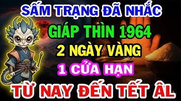 [CẢNH BÁO] Lời Tiên Tri Cận Tết 2026: 2 Ngày Vàng và 1 Cửa Hạn Kinh Hoàng Của Giáp Thìn 1964!