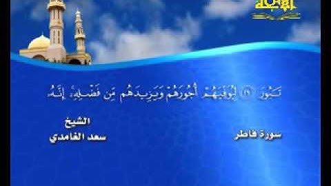 سورة فاطر( قناة الأترجة ) قراءة مؤثرة للشيخ سعد الغامدي