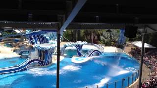 IMG 0874