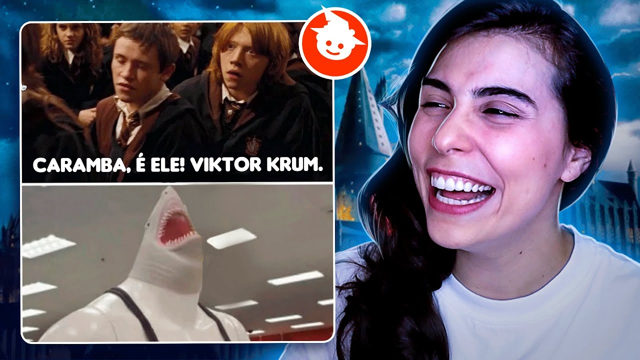 hp memes em português｜Pesquisa do TikTok