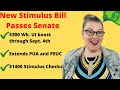 New Stimulus Bill Passes Senate:  $300 A Week Unemployment Boost, PUA & PEUC Extended Through 9/4