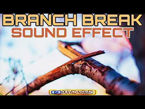 Tree Branch Break Sound Effect