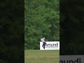 🚨 Hole-in-one! Cara Gorlei aces the par-3 11th from 167 yards! 🎉