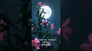 Necmiye Yenge Ş I I R