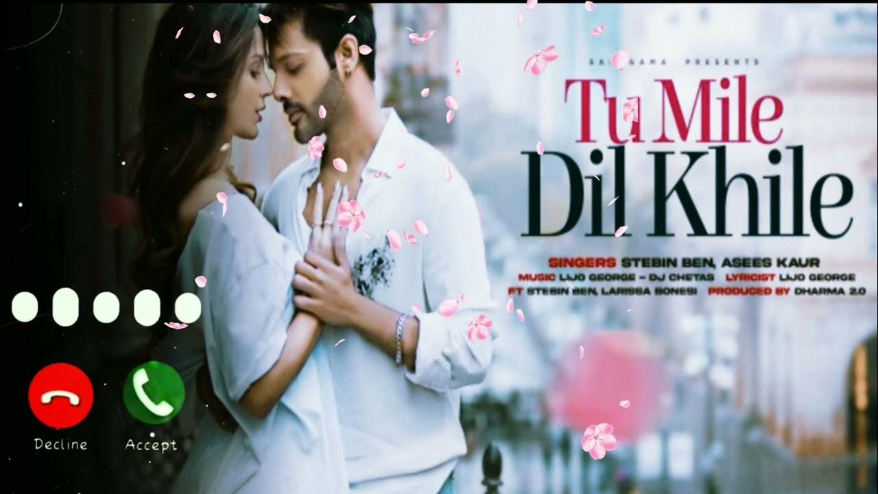 Tu Mile Dil Khile Flute Ringtone Hindi Bollywood Song 💞 Romantic ️