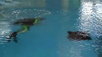 Underwater Autonomous Robotics