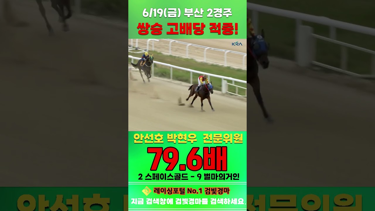 [부산 경마] 6월 19일 금요 2경주 안선호 박현우 전문위원 쌍승 고배당 적중 #하이라이트 #horse #경마 #automobile #한국마사회 #riding #뉴스  #게임