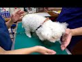 久々の病院で震えが止まらずパニックになる