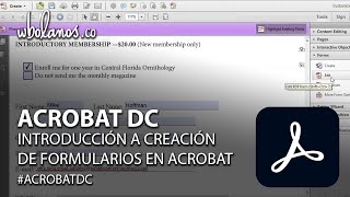 Introduction To Creating Forms In Acrobat Dc
