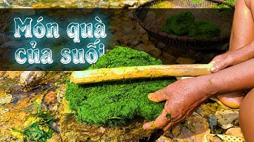 Món Rêu Đá Nướng Quà Tặng Từ Suối - Ẩm Thực Tây Bắc | LTL FOOD
