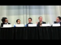 55. BITCOIN 2013 - part4of7 - Alt-Chains, Day 3