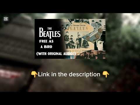The Beatles - Free As A Bird (Official Music Video) [with 1995 Mix]