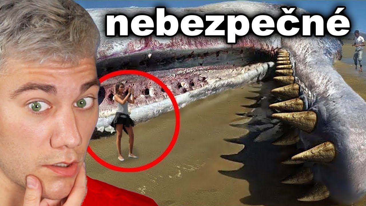 50 DĚSIVÝCH VĚCÍ VYPLAVENÝCH NA PLÁŽE!